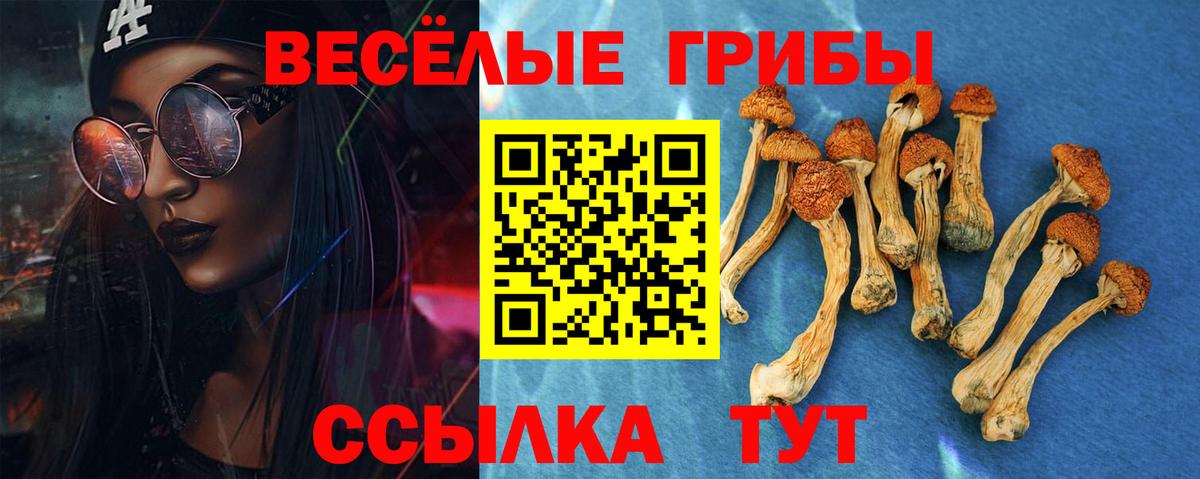 магазин продажи наркотиков  Вход с VPN  Качканар  Галлюциногенные грибы прущие грибы 